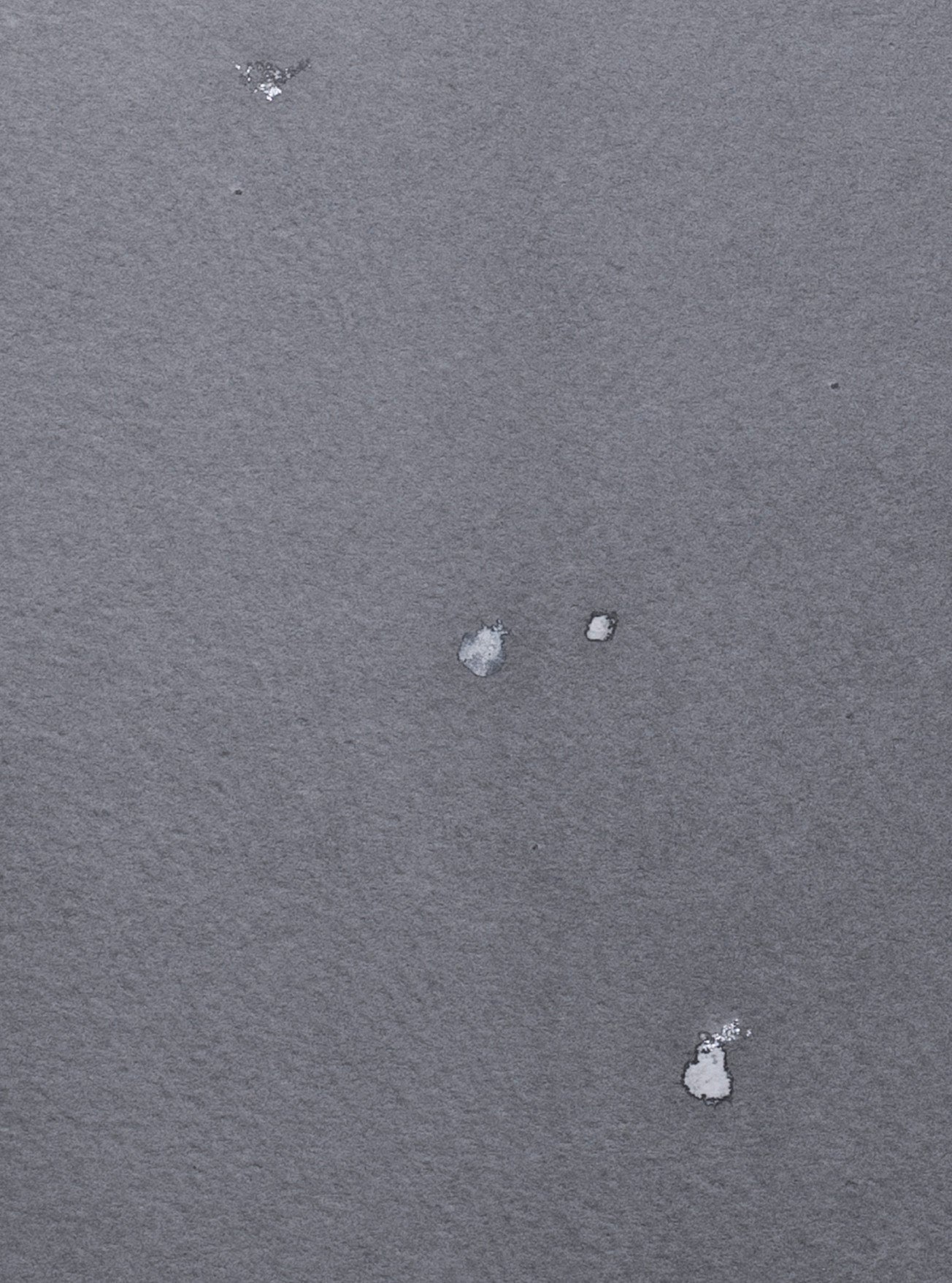 春雪 0624 – trace kyoto